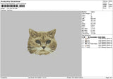 Cat 1011 Embroidery File 6 sizes