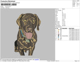 Dog V28 Embroidery File 4 size