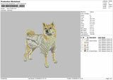 Dog 210425