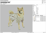Dog 210425