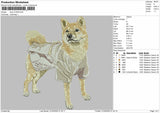 Dog 210425
