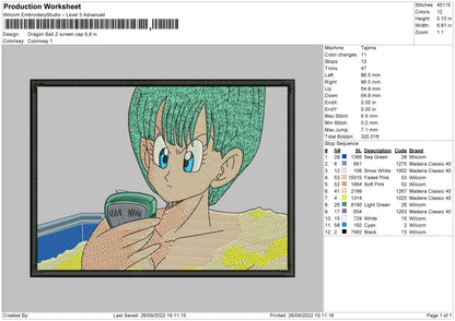 Dragon Ball Screen Cap Embroidery File 6 sizes