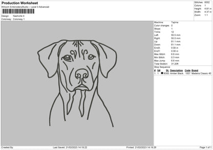Nashville Embroidery File 6 sizes