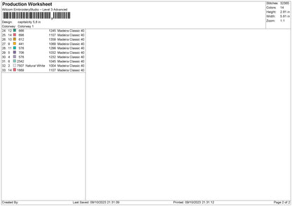 Capital city Embroidery File  sizes