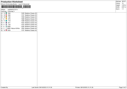 Capital city Embroidery File  sizes