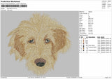 DOG HEAD V5