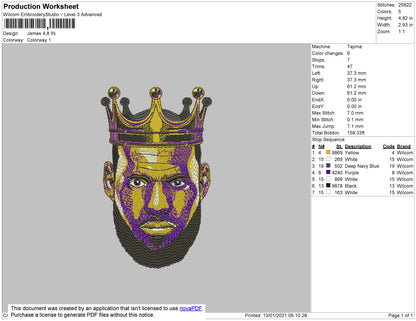 Lebron James King