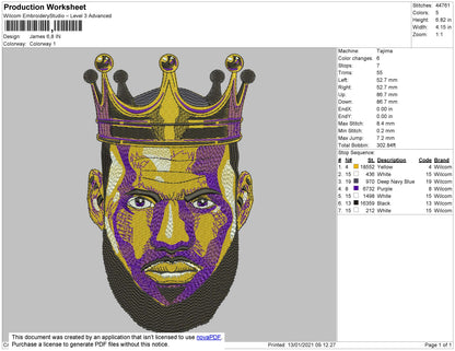 Lebron James King
