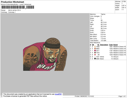 Lebron James Embroidery File 4 size