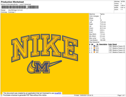 Nike Michigan