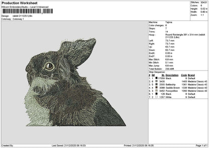 Rabbit 2112 Embroidery FIle 6 sizes