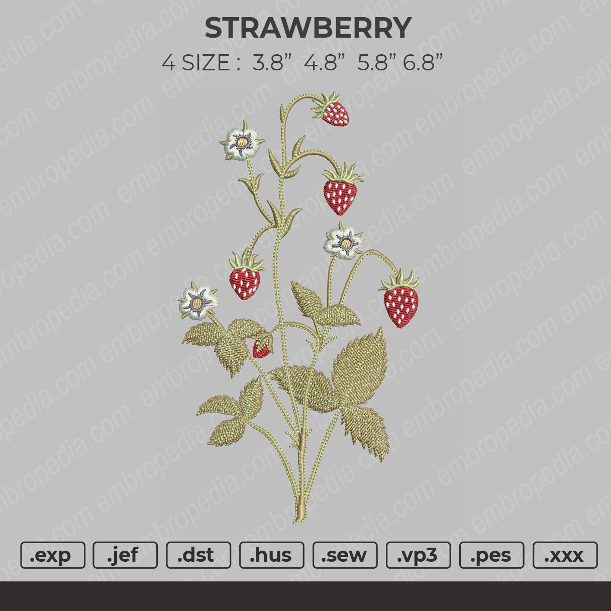 Strawberry Embroidery File 4 size