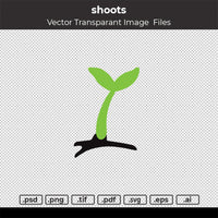 shoots