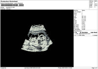 Usg Photo V2 Embroidery File 6 sizes