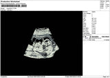 Usg Photo V2 Embroidery File 6 sizes