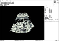 Usg Photo V2 Embroidery File 6 sizes