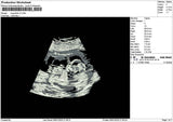 Usg Photo V2 Embroidery File 6 sizes