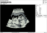 Usg Photo V2 Embroidery File 6 sizes